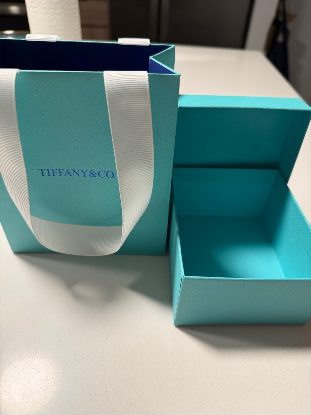 Tiffany & Co. Robin's Egg Blue Gift Box and Bag Set
